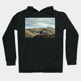 The National Wallace Monument - Stirling, Scotland Hoodie